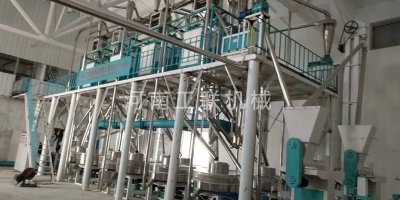 中衛12加4石磨面粉機成套設備